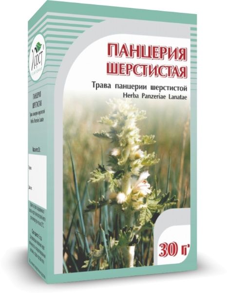 Изображение товара Панцерия шерстистая Хорст 30г Панцерия шерстистая Хорст 30г фотография
